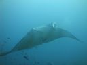 DSC01107.JPG