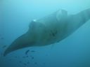 DSC01110.JPG