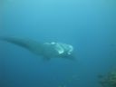 DSC01115.JPG