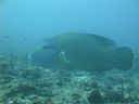 DSC01122.JPG