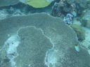 DSC01224.JPG