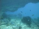 DSC01288.JPG