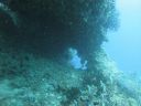 DSC01289.JPG