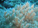 DSC01299.JPG