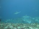 DSC01344.JPG