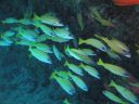 DSC01371.JPG