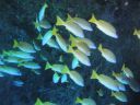 DSC01372.JPG