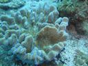 DSC01373.JPG