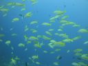 DSC01377.JPG