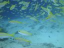 DSC01382.JPG