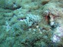 DSC01387.JPG