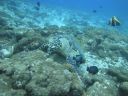 DSC01389.JPG
