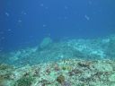 DSC01402.JPG