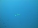 DSC01405.JPG