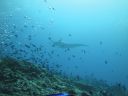 DSC01409.JPG