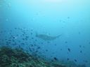 DSC01412.JPG