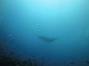 DSC01421.JPG