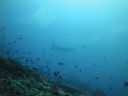 DSC01423.JPG