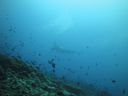 DSC01425.JPG
