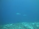 DSC01430.JPG