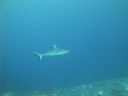 DSC01623.JPG