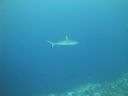 DSC01624.JPG