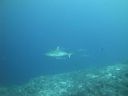 DSC01627.JPG