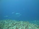 DSC01673.JPG
