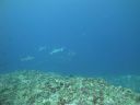 DSC01674.JPG