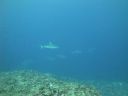 DSC01676.JPG