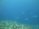 DSC01682.JPG