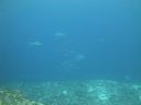 DSC01709.JPG