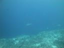 DSC01712.JPG