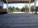 DSC01824.JPG