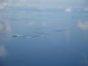 DSC01846.JPG