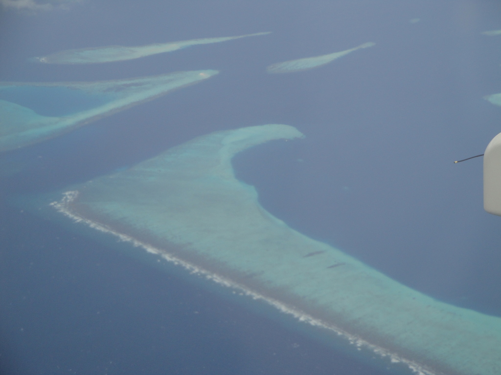DSC00005.JPG