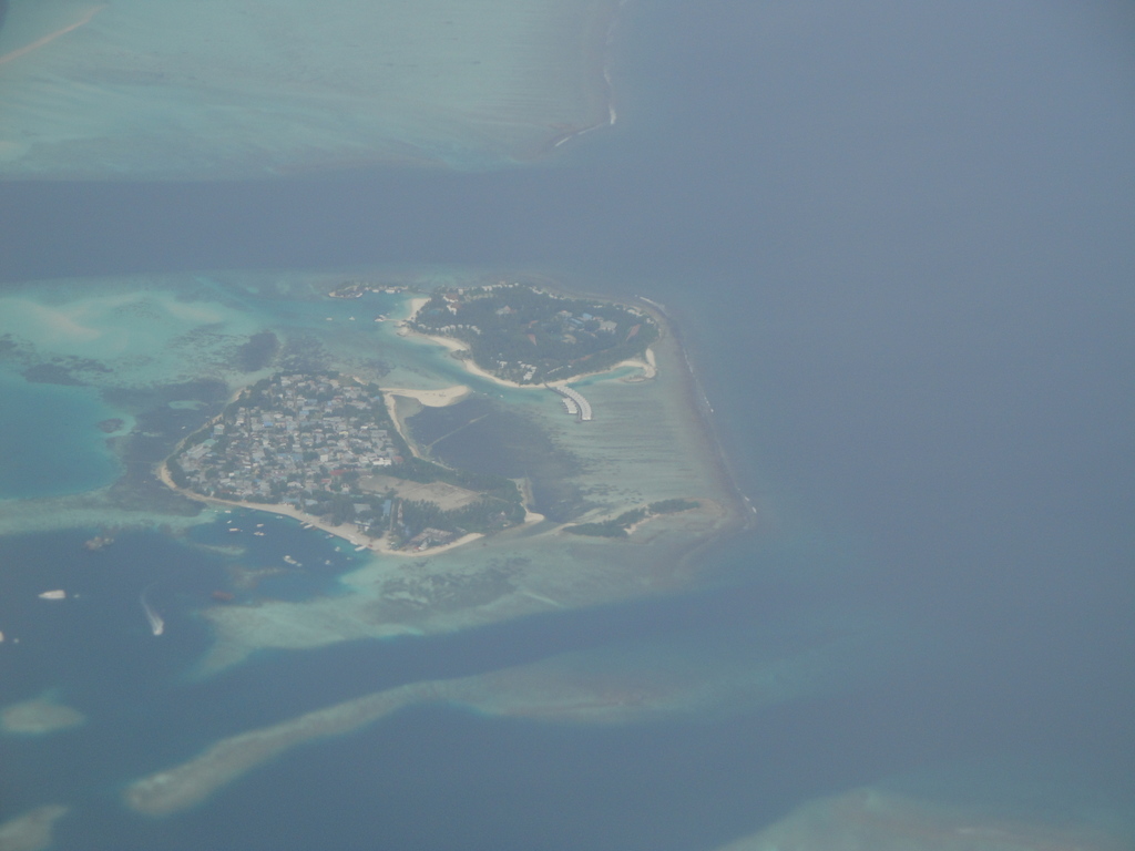 DSC00010.JPG