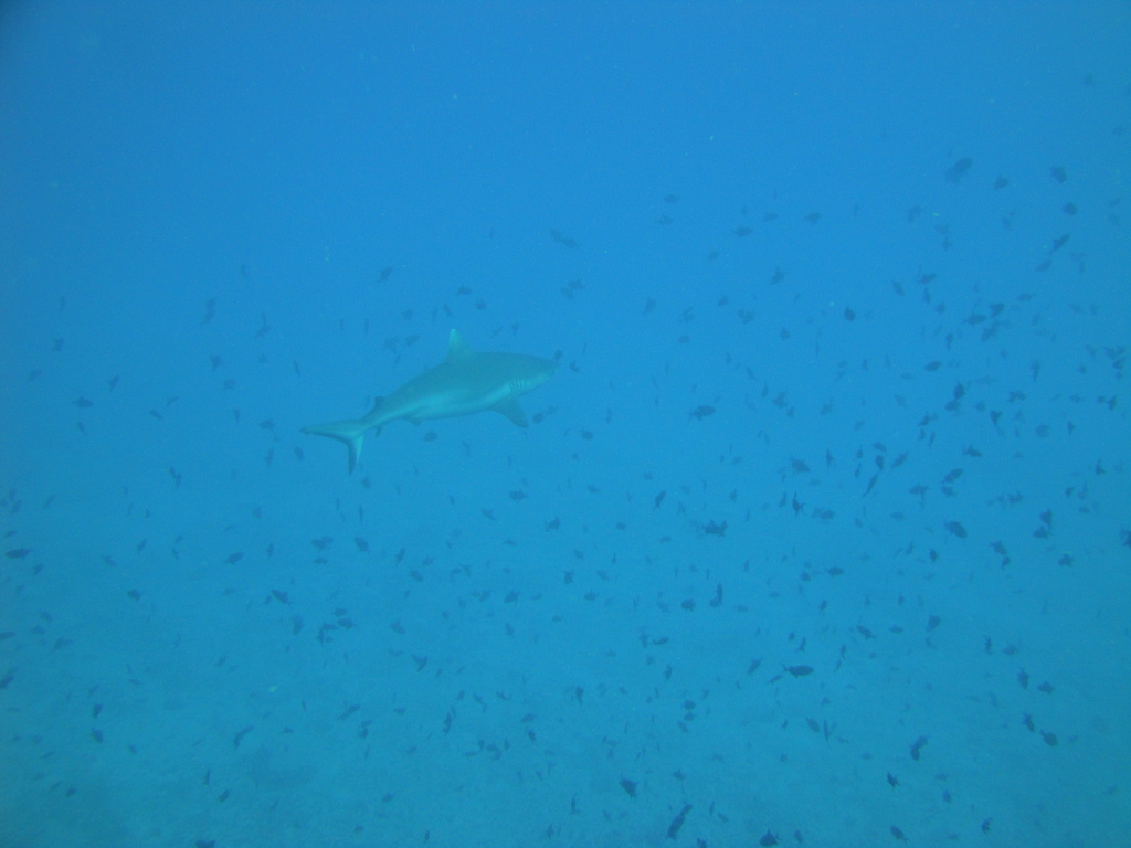 DSC00024.JPG