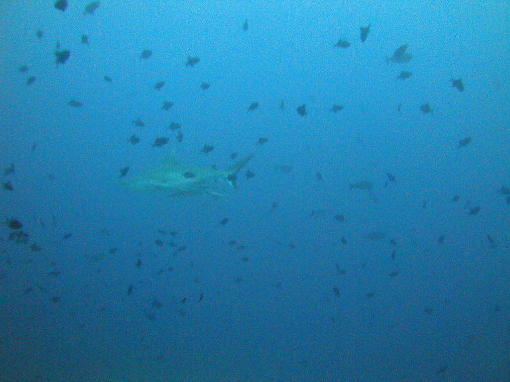 DSC00040.JPG