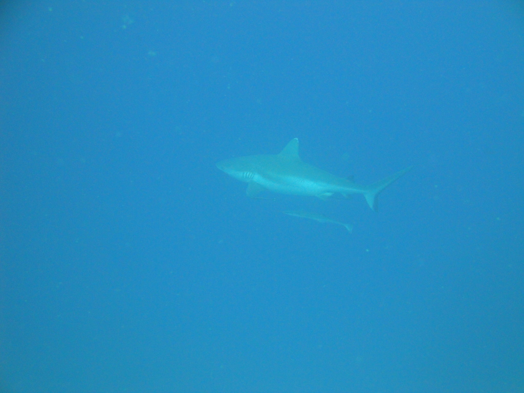 DSC00055.JPG