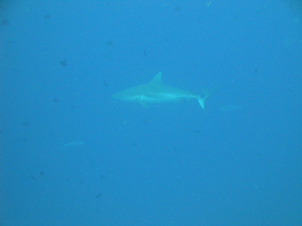 DSC00056.JPG