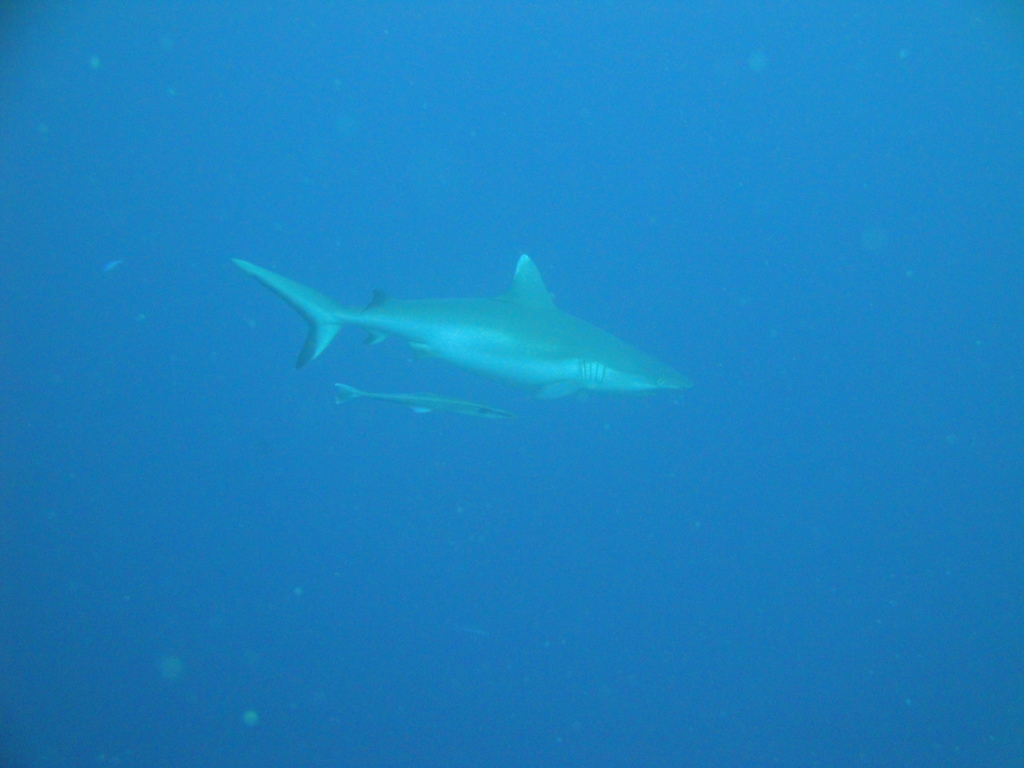 DSC00073.JPG