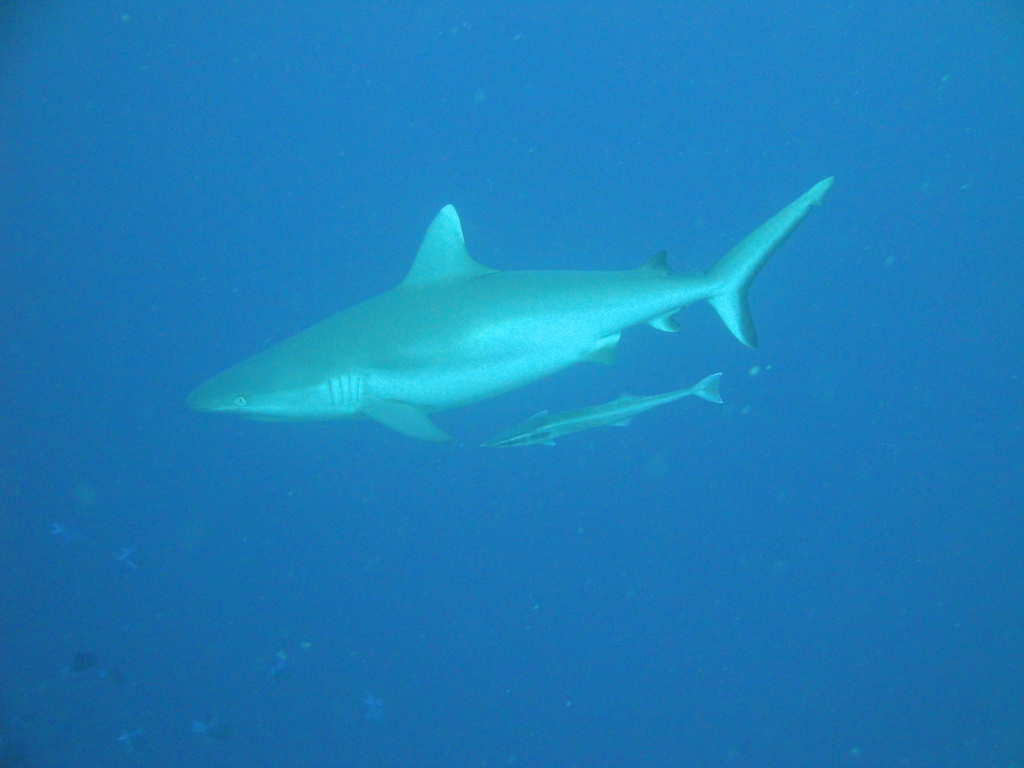DSC00074.JPG
