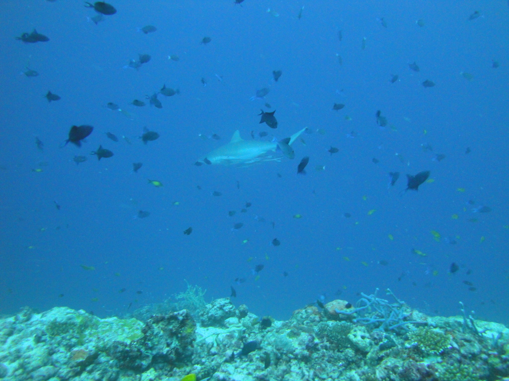 DSC00098.JPG