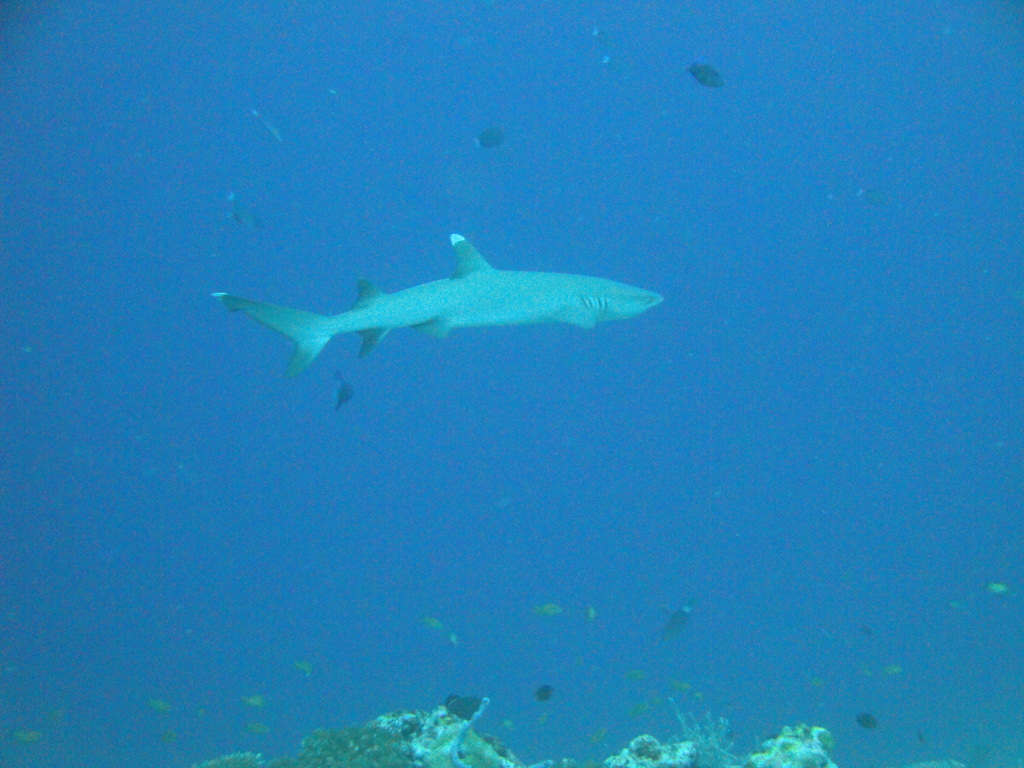 DSC00108.JPG