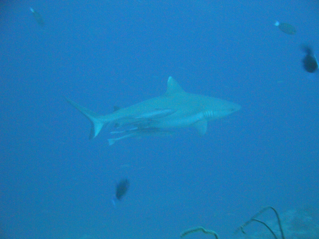 DSC00112.JPG