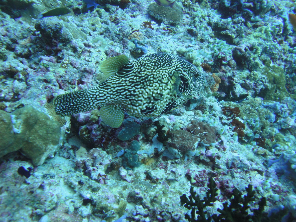 DSC00144.JPG
