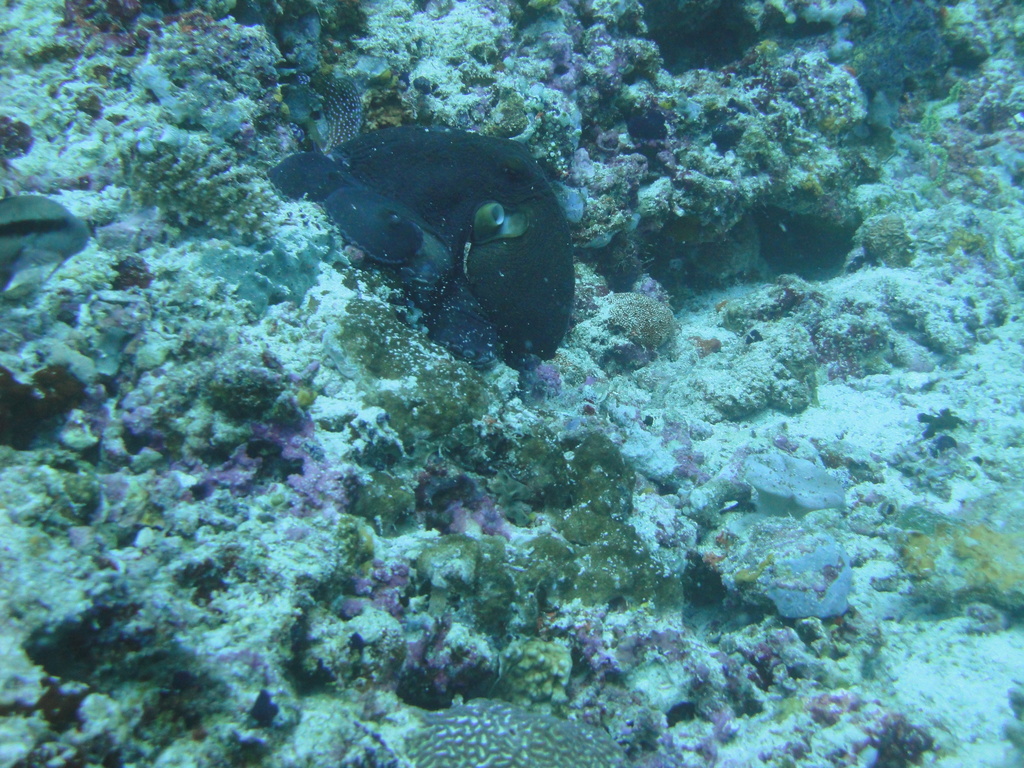 DSC00158.JPG