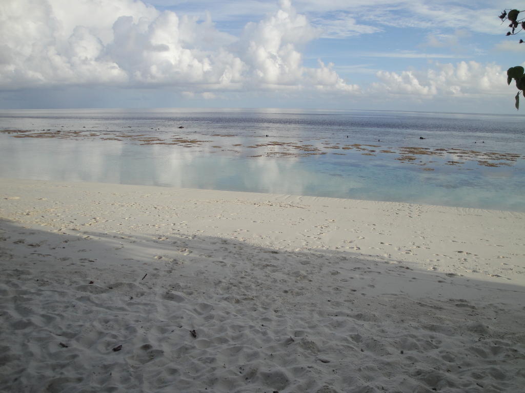 DSC00279.JPG