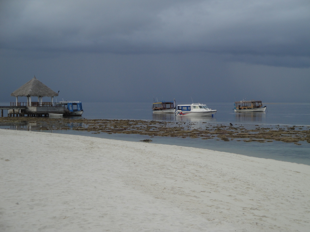 DSC00289.JPG